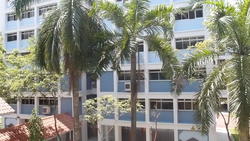 Blk 865 Jurong West Street 81 (Jurong West), HDB 5 Rooms #156173192